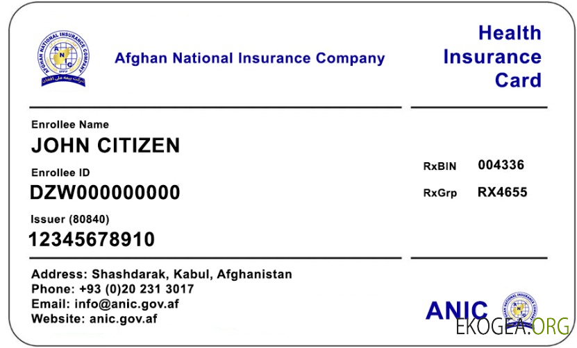 Afghanistan Carte d'assurance maladie de la Compagnie nationale d'assurance afghane